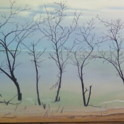 Goat Island 60" x 28" Goat Island